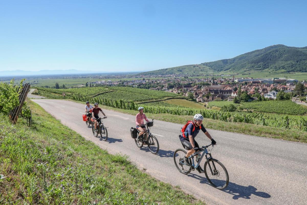 ibis Styles Colmar Nordo